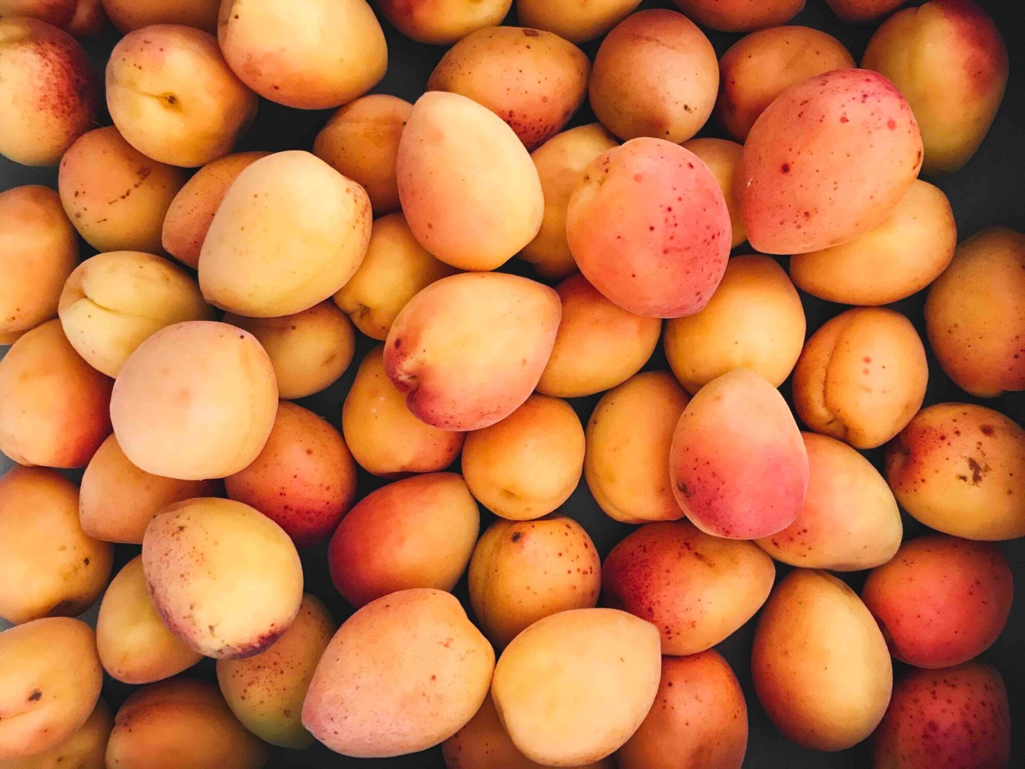 Australian Mango Varieties